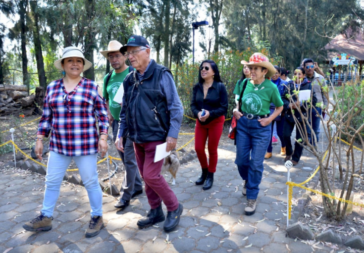 Captura de pantalla 2020-03-13 a las 8.08.50 p.m.