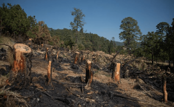 Captura de pantalla 2020-03-18 a las 11.16.25 p.m.