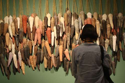 Foto Guillermo Sologuren